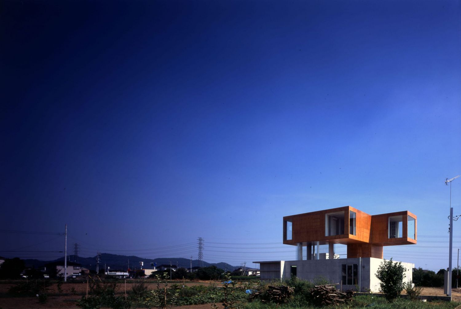 C+A - Coelacanth and Associates | Ota House Museum