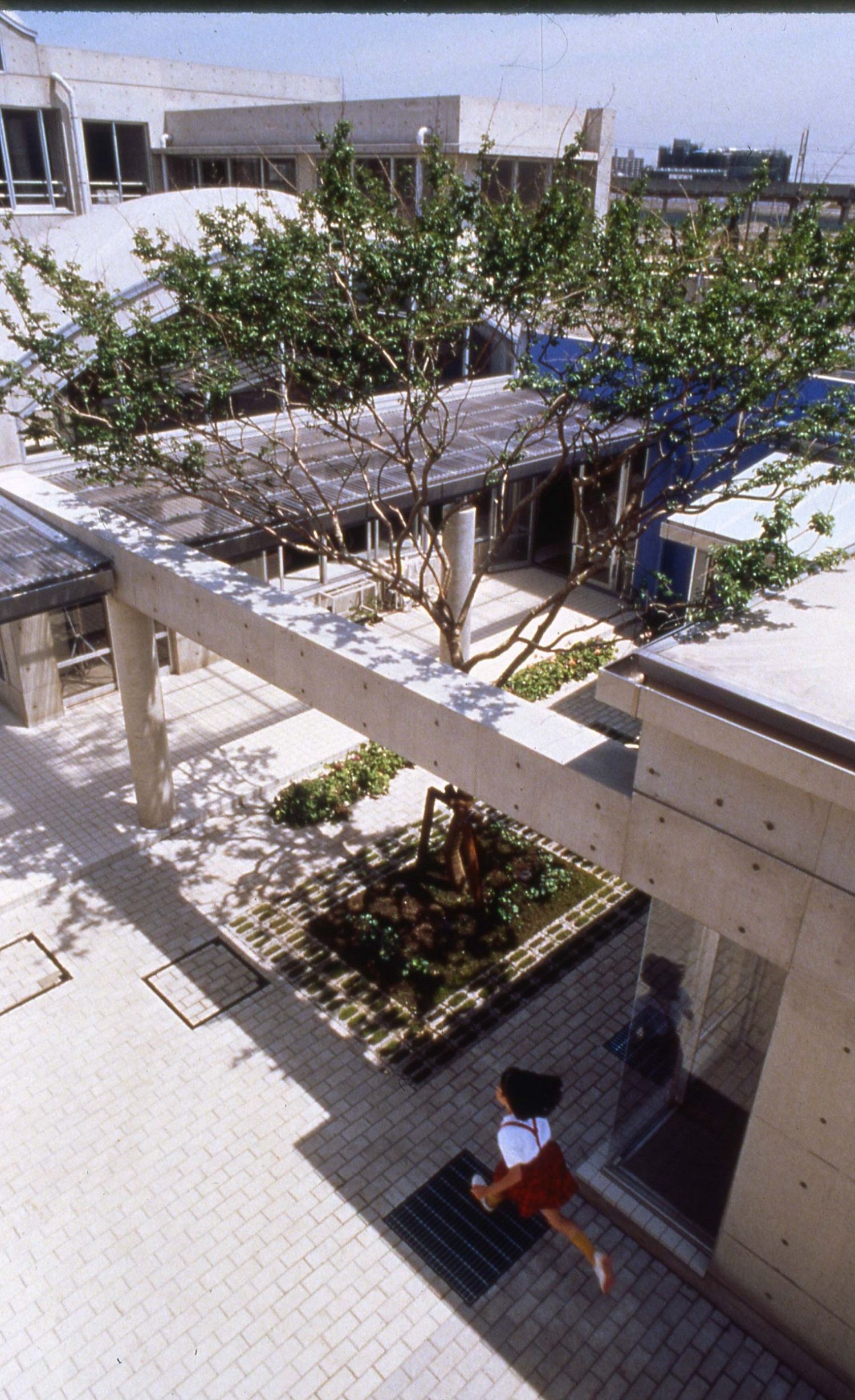 C+A - Coelacanth and Associates | 千葉市打瀬小学校
